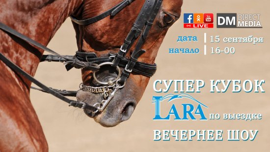 LIVE: Конный спорт. Супер Кубок «Lara» по выездке 15.09.2018